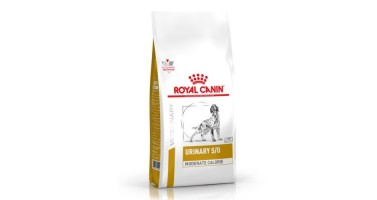ROYAL VET CANINE URINARY S/O SMALL DOG 1,5KG