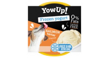 YOW UP HELADO DE YOGUR SABOR SALMÓN PARA PERROS 110GR