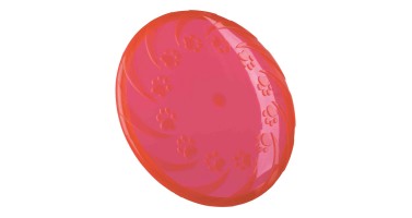 FRISBEE DE TPR 22CM