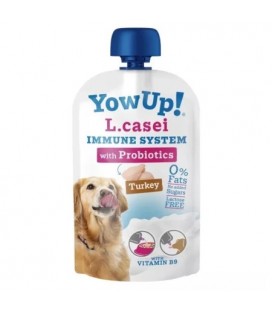 YOW UP YOGUR LCASEI INMUNE SISTEM 115GR