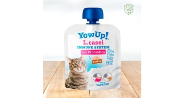 YOW UP YOGUR LCASEI PARA GATOS 85 GR