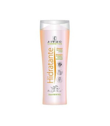 CHAMPU ARTERO HIDRATANTE 250 ML