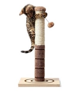 RASCADOR ONDAS INTERACTIVO