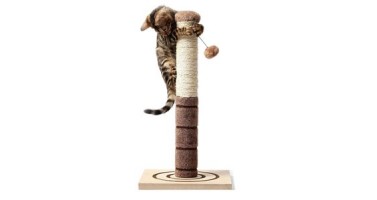 RASCADOR ONDAS INTERACTIVO