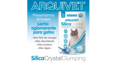 Silice aglomerante para gatos ARQUIVET